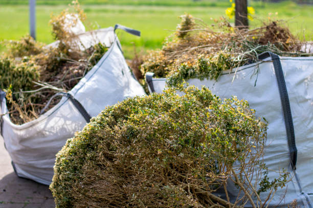 Best Junk Hauling Services  in Shiprock, NM
